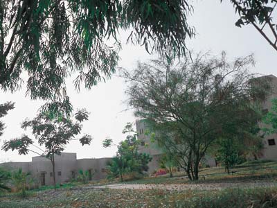 Bin Majid Beach Resort-Exterior View